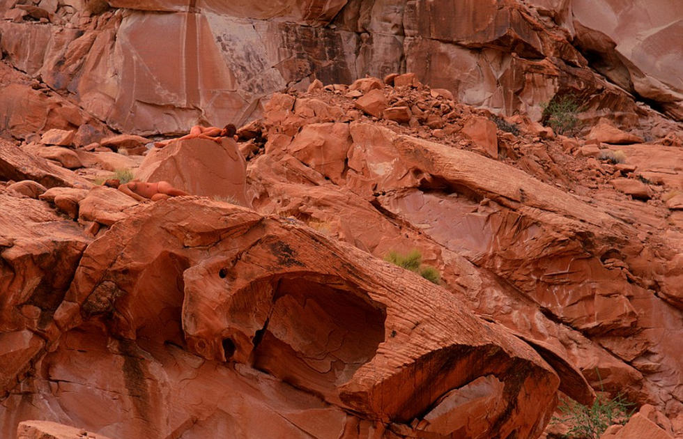 Des peintures corporelles qui s'intègrent dans l'environnement