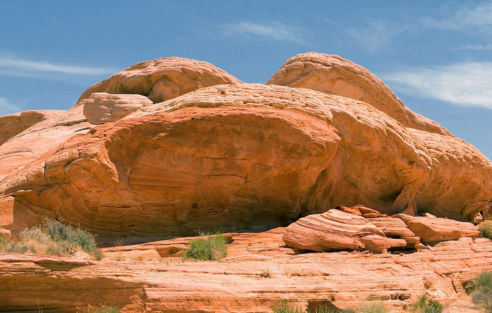 Des peintures corporelles qui s'intègrent dans l'environnement