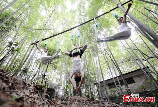 Des yogistes montrent la force et la beauté de leur art dans une forêt de bambous