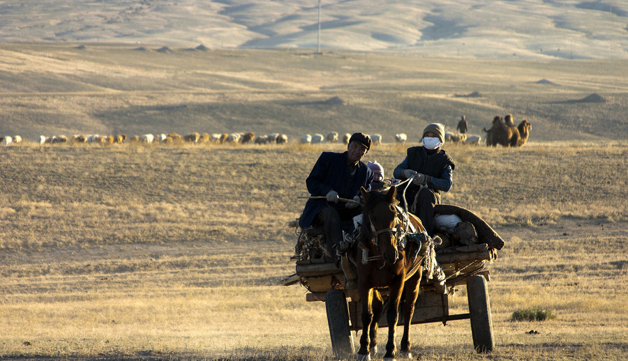 Xinjiang : les pasteurs nomades et la transition des saisons