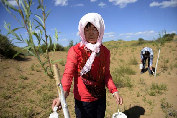 Victoire en vue pour le Ningxia dans sa bataille contre le sable