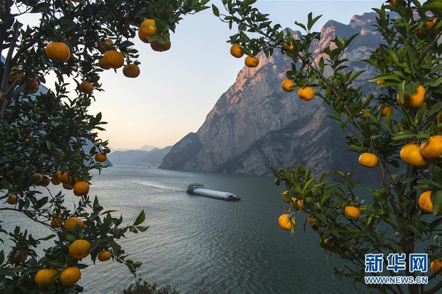 Photos : les Trois Gorges vues des orangeraies