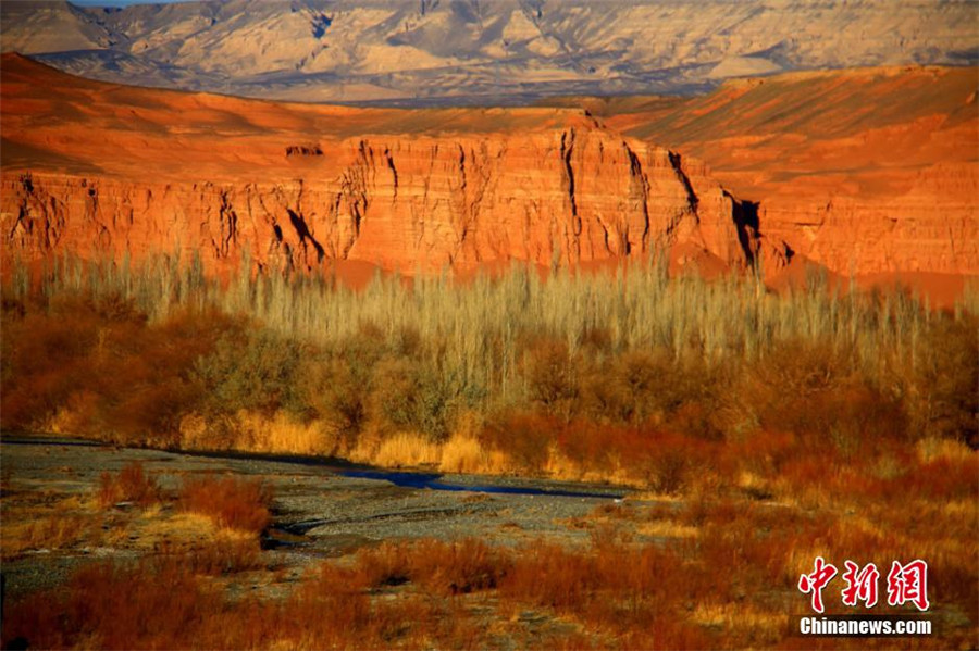 Xinjiang : les paysages flamboyants de la vallée de Honghe