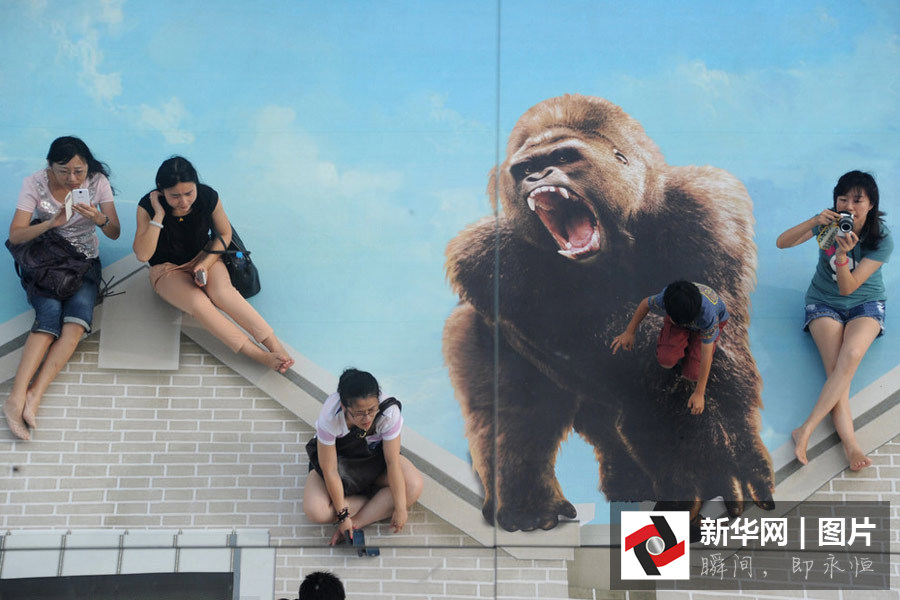 Images : l'année du Singe approche ! 