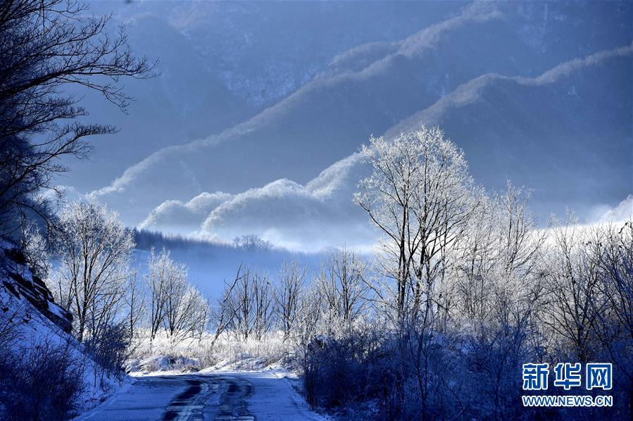 Galerie : les paysages hivernaux des zones humides de Dajiuhu