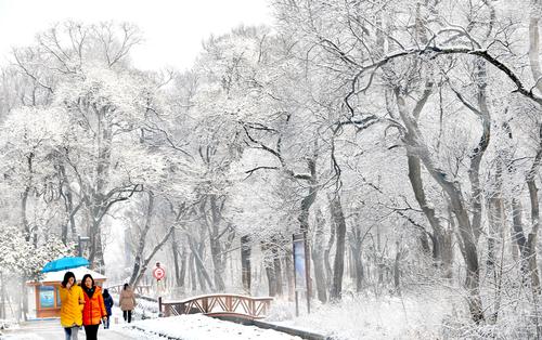 Anhui : le site du lac de Wanfo sous la neige