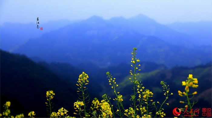 Anhui : de magnifiques vues printanières 