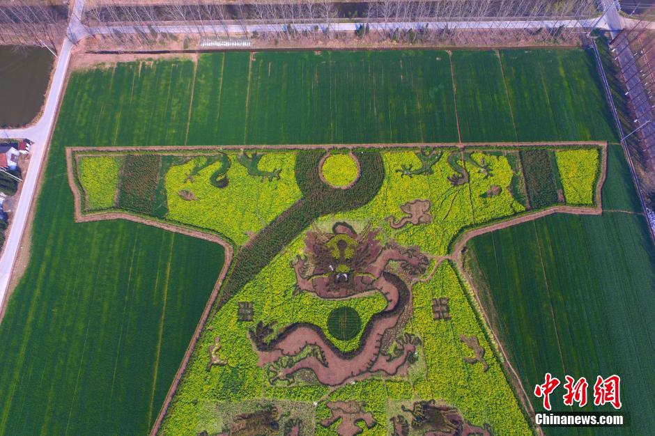 Une robe impériale dans un champs de fleurs de colza