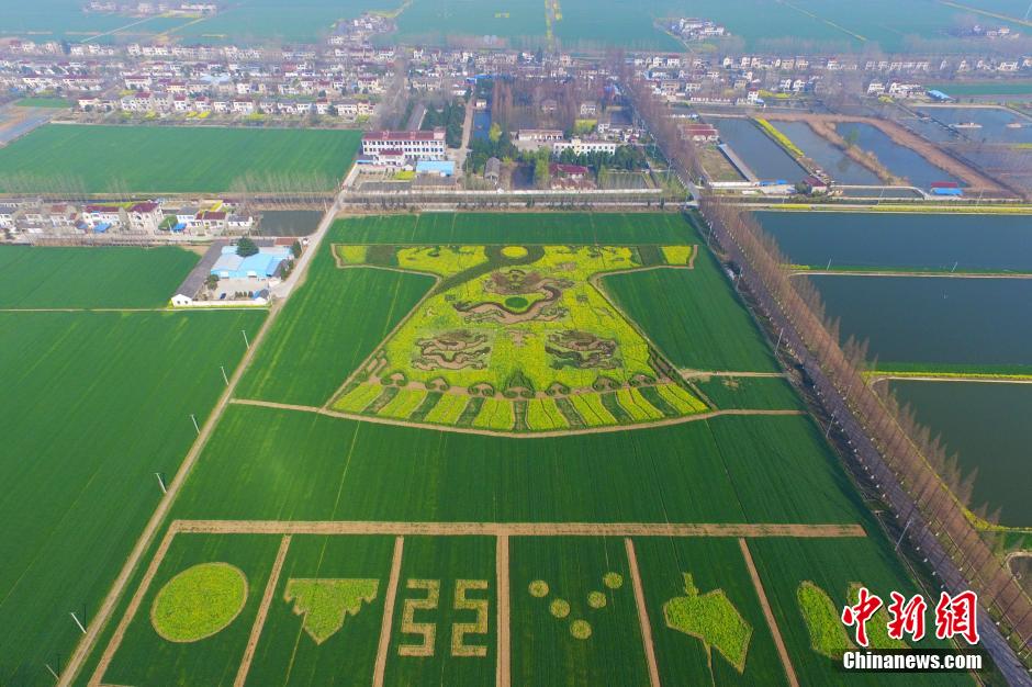 Une robe impériale dans un champs de fleurs de colza