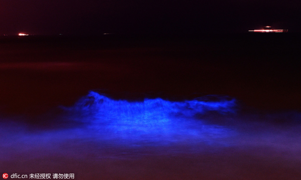 Apparition d'un paysage d'eaux mi-phosphorescentes mi-brun-rouge sur les c?tes de Shenzhen