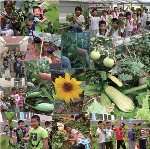 Des jardiniers en herbe à Beijing