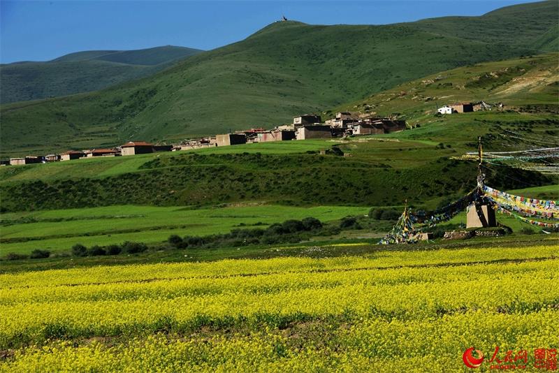 Paysages estivaux du comté d'Aba