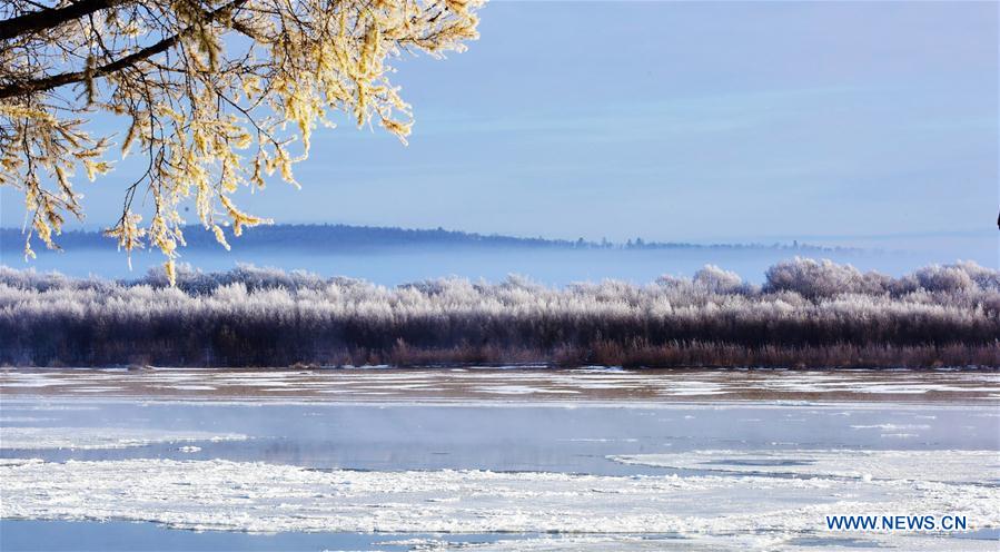 Forêt givrée dans le nord-est de la Chine