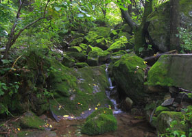 Le Parc forestier de la Vallée de la Rivière Rouge