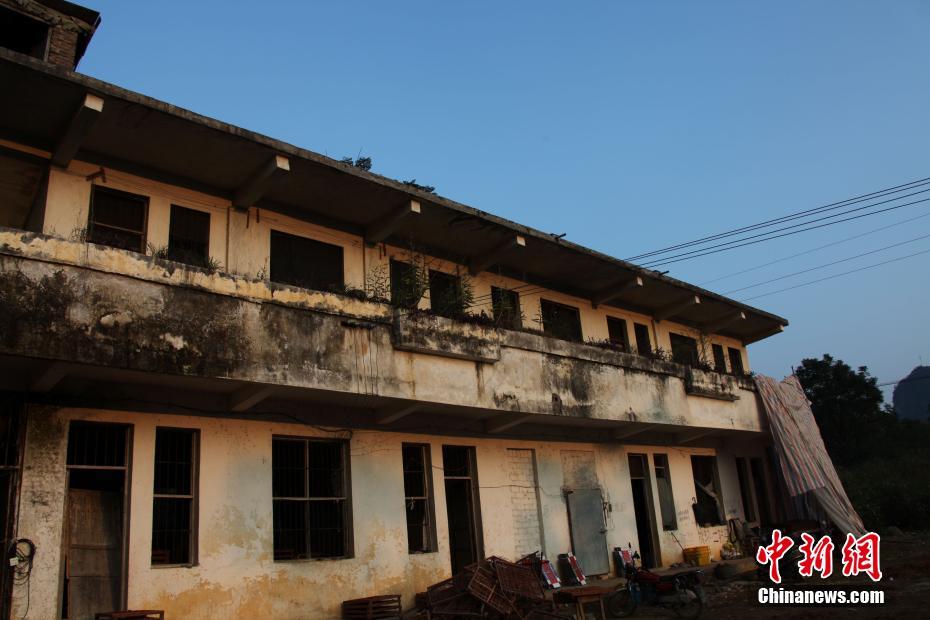 Guangxi?: 35 000 oiseaux sauvés des griffes de trafiquants