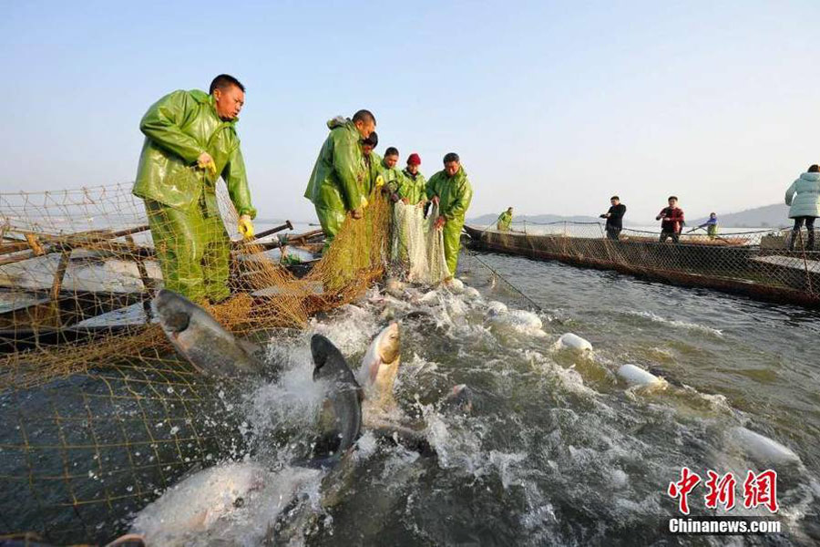 Début de la saison de la pêche sur le Lac aux Fées de Xinyu