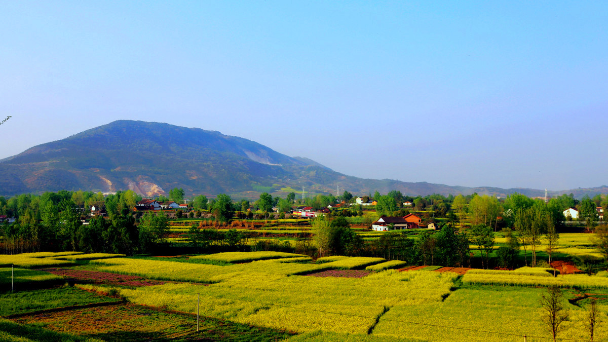 La plus belle mer de fleurs de colza dans le Shaanxi