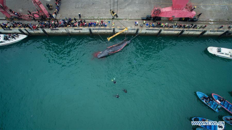 3 jours de lutte n'auront pas réussi à sauver une baleine échouée dans le Sud de la Chine