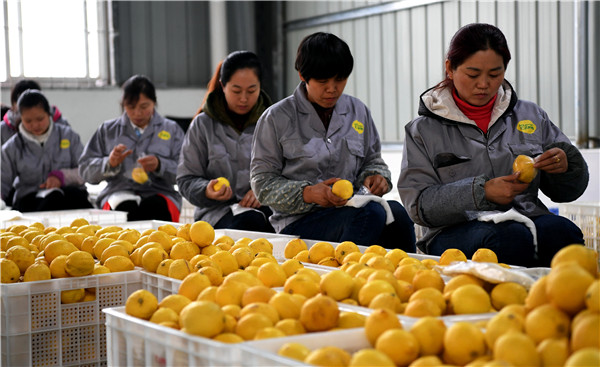 Comment devenir prospère quand la vie ne vous a donné que des citrons