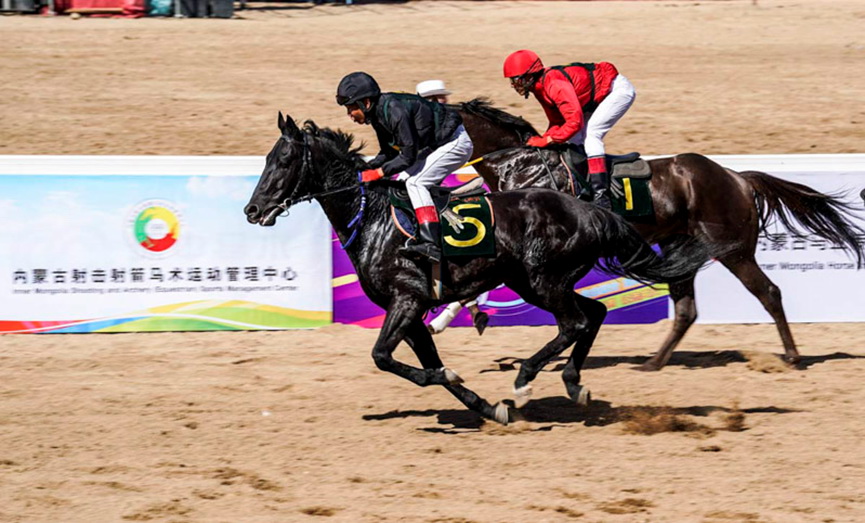 Un festival équestre à Hohhot