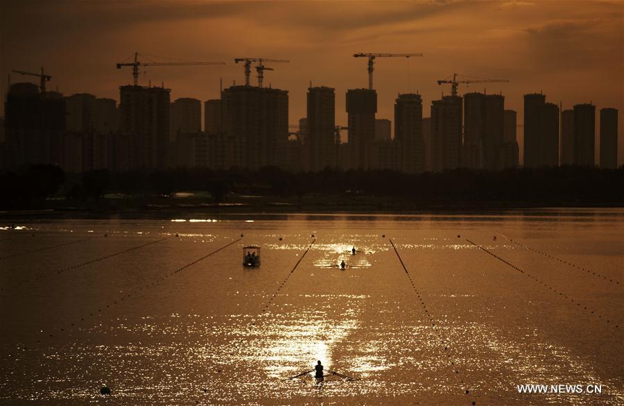 Entra?nement d'aviron avant les 13e jeux nationaux de la Chine