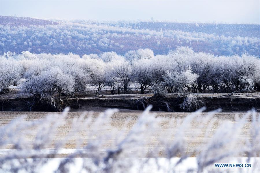 Paysage givré le long du fleuve Heilongjiang