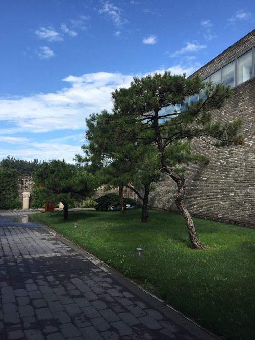 Bienvenue à la Huang Rui Cloud House, d'un dépotoir à un site d'art