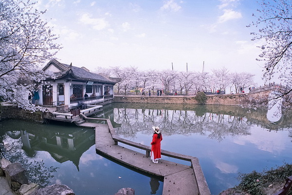 La beauté tranquille de Wuxi parée de fleurs de cerisier