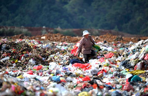 Des scientifiques américains et britanniques isolent une bactérie mangeuse de plastique