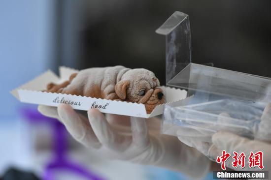 Une patisserie de Kunming fait le buzz sur internet avec ses gateaux plus vrais que nature