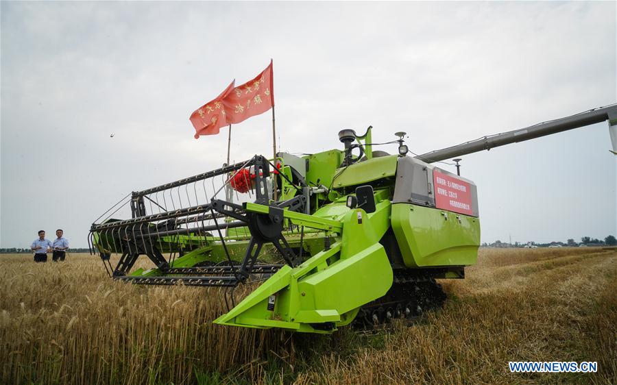 Chine : des machines sans pilote dans les rizières du Jiangsu