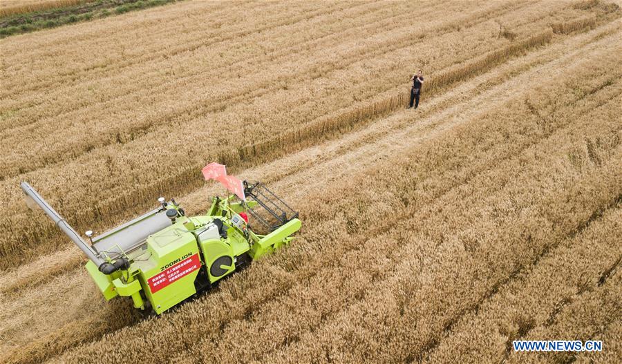 Chine : des machines sans pilote dans les rizières du Jiangsu