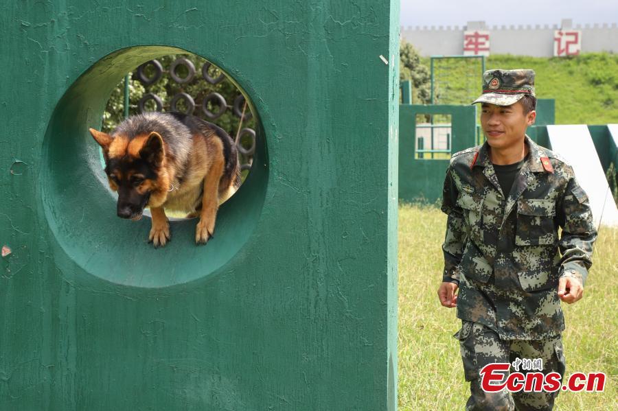 Il est toujours difficile de dire au revoir à un chien policier