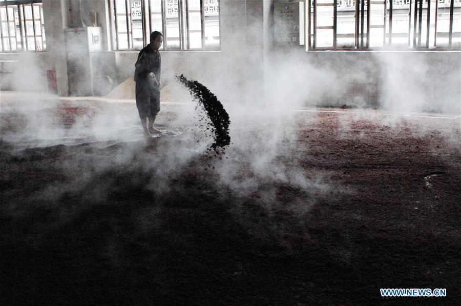 Guizhou : à la découverte d'une distillerie du Maotai, liqueur nationale de Chine