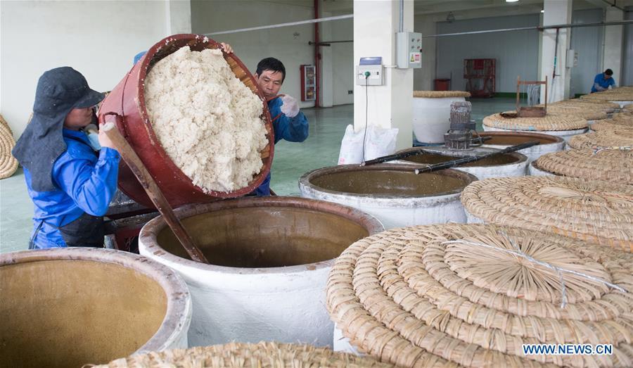 La fabrication du vin de riz traditionnel à Shaoxing