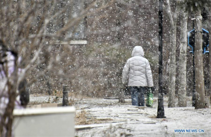 Chutes de neige à Beijing après les vacances de la fête du Printemps 