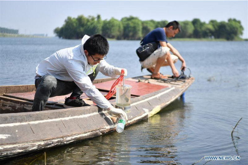 La Chine recherche une meilleure coordination entre développement économique, développement social et civilisation écologique 