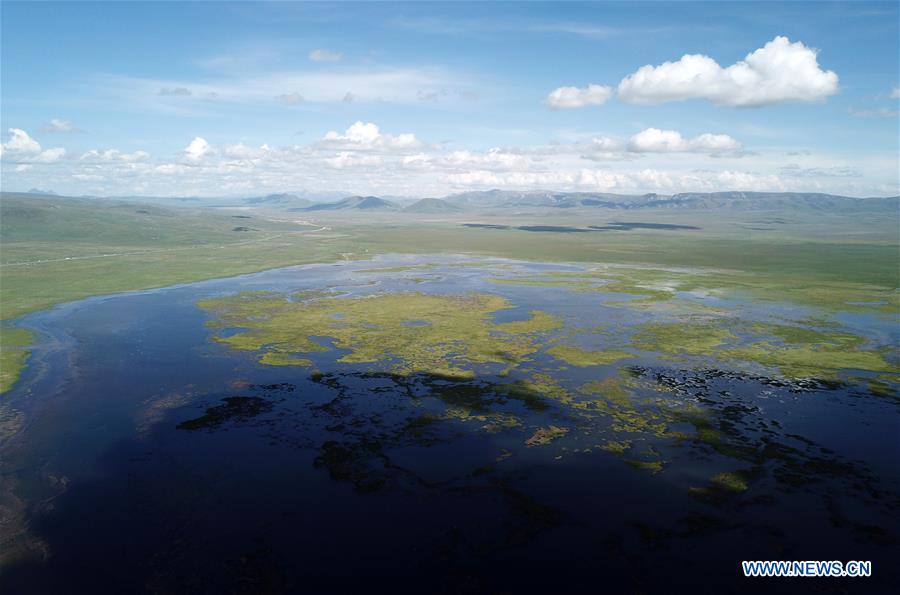 Chine : progrès écologiques dans la région du lac Gahai