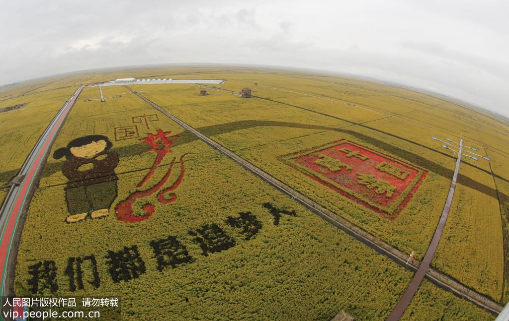 Des rizières transformées en ?uvres d'art dans la province du Heilongjiang