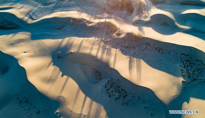 Tibet : le paysage le long de la rivière Yarlung Zangbo