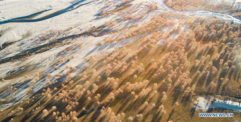 Tibet : le paysage le long de la rivière Yarlung Zangbo