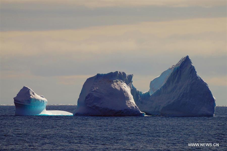 Antarctique : icebergs lors de la 36e expédition chinoise