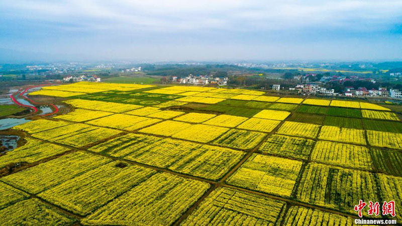 Le ? grenier du Jiangxi ? de Hukou vu du ciel