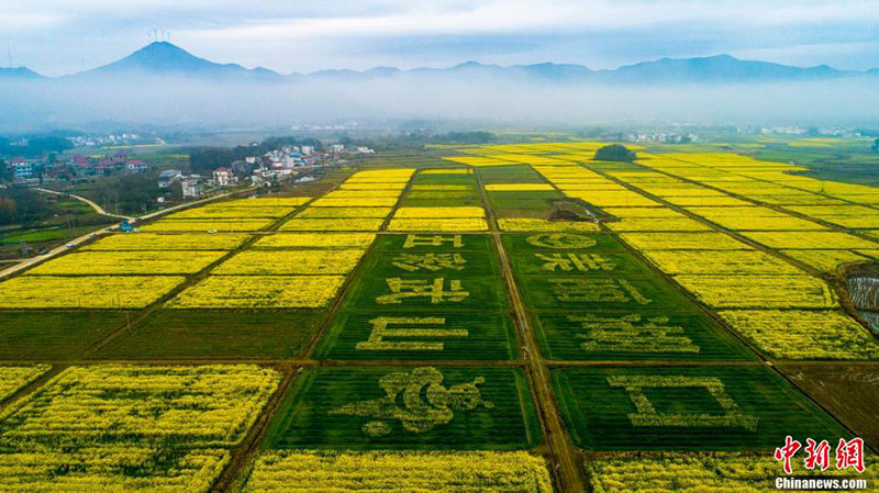 Le ? grenier du Jiangxi ? de Hukou vu du ciel