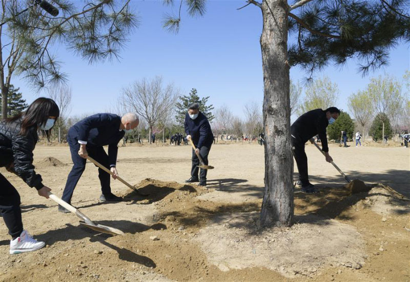 Xi Jinping participe à la plantation d'arbres à Beijing, exhortant au respect de la nature