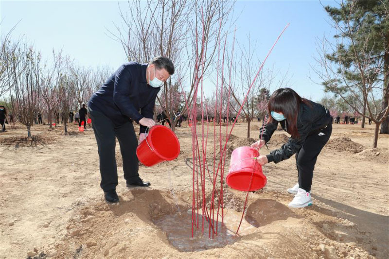 Xi Jinping participe à la plantation d'arbres à Beijing, exhortant au respect de la nature