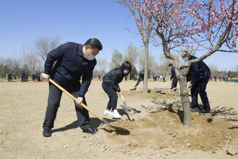 Xi Jinping participe à la plantation d'arbres à Beijing, exhortant au respect de la nature