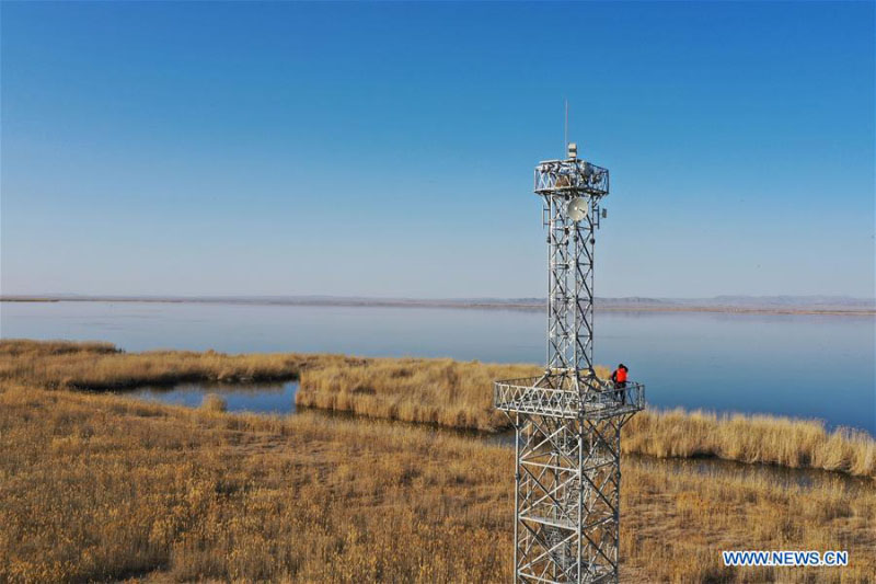 Le personnel d'une réserve naturelle renforce ses patrouilles et ses efforts de protection en Mongolie intérieure