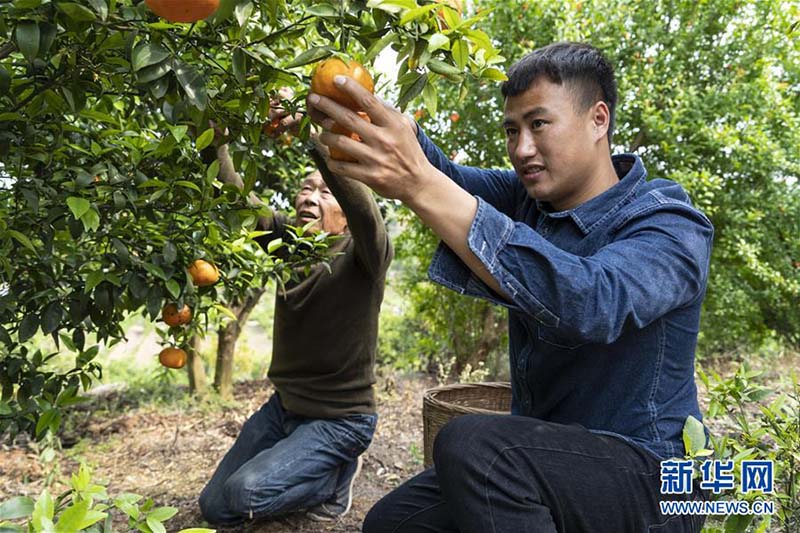 La diffusion en direct facilite la vente de produits agricoles