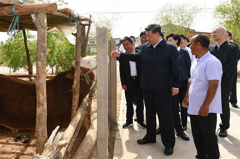 Xi Jinping inspecte le Ningxia (nord-ouest)